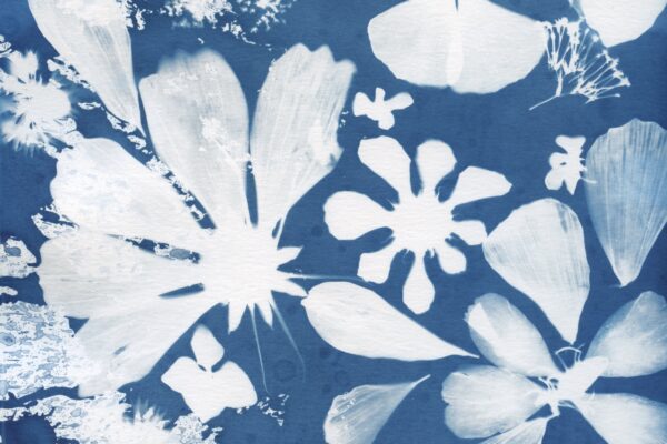 Cyanotypes and Words