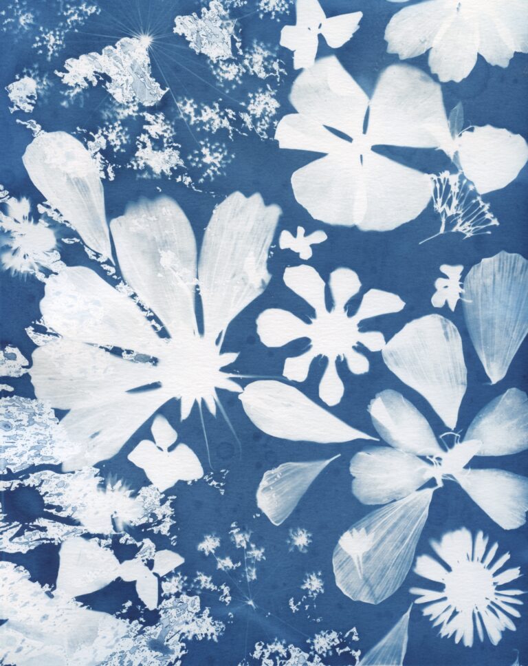 Cyanotypes and More